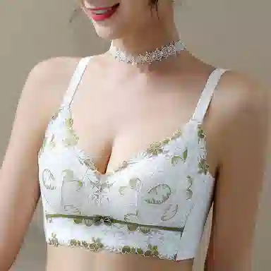 芬腾 调整型聚拢小胸上托收副乳无钢圈防下垂文胸 女款