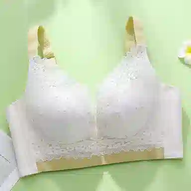 芬腾 调整型聚拢小胸显大上托收副乳无钢圈防下垂文胸 女款