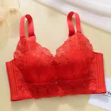 芬腾 调整型聚拢小胸上托收副乳无钢圈防下垂文胸 女款