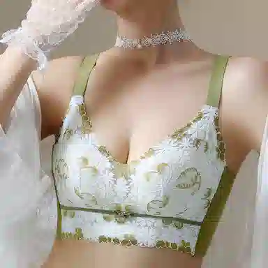 芬腾 调整型聚拢小胸上托收副乳无钢圈防下垂文胸 女款