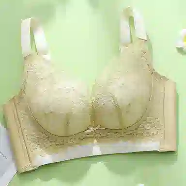 芬腾 调整型聚拢小胸显大上托收副乳无钢圈防下垂文胸 女款