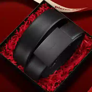 PIERRE CARDIN 3.45cm