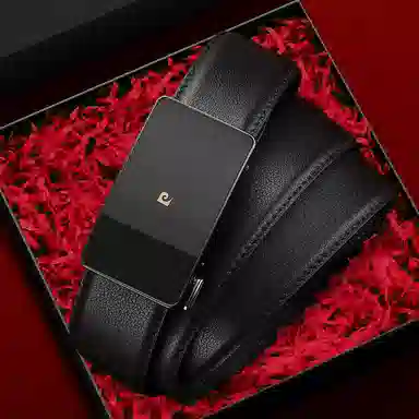 PIERRE CARDIN logo 3.6CM