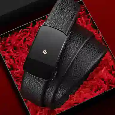 PIERRE CARDIN logo 3.6CM