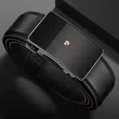 PIERRE CARDIN logo 3.6CM