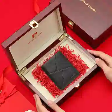 Pierre Cardin Wallet