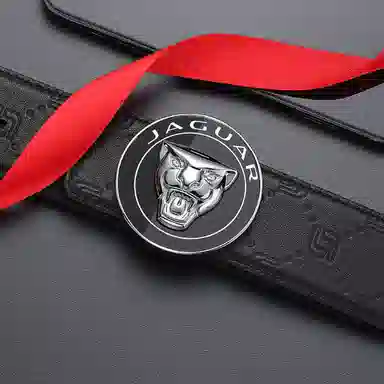 JAGUAR 3.8cm