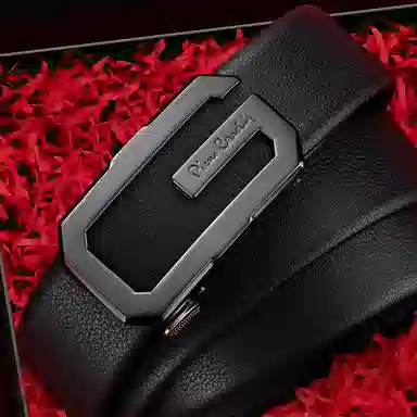 PIERRE CARDIN logo 3.5CM