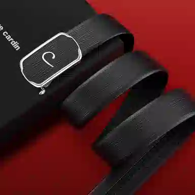 PIERRE CARDIN logo 3.7cm