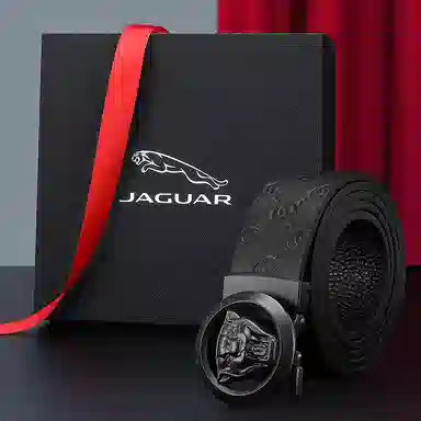 JAGUAR ) 3.5cm