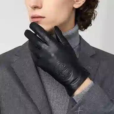 PIERRE CARDIN
