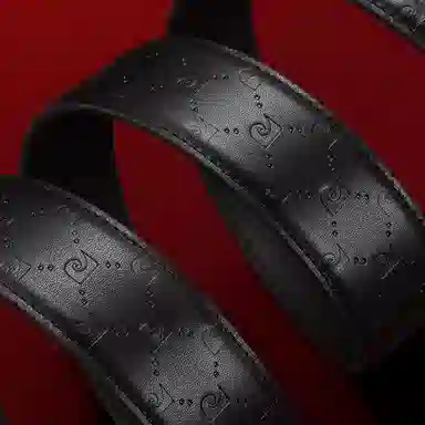 PIERRE CARDIN P 3.45CM