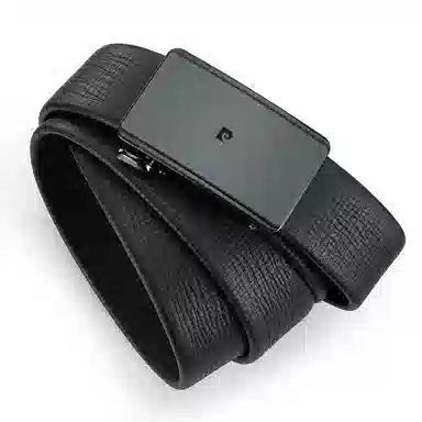 PIERRE CARDIN logo 3.45cm