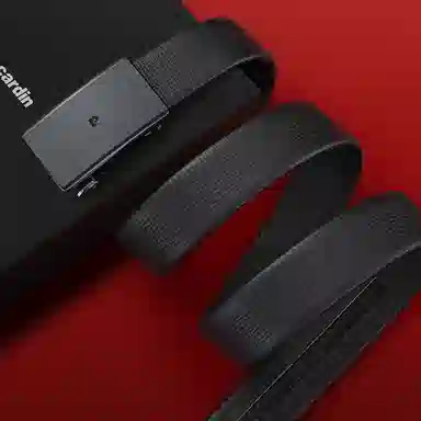 PIERRE CARDIN logo 3.45cm