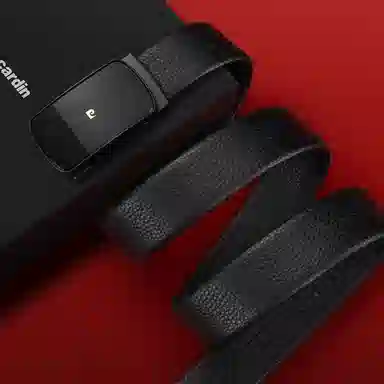 PIERRE CARDIN logo 3.6CM