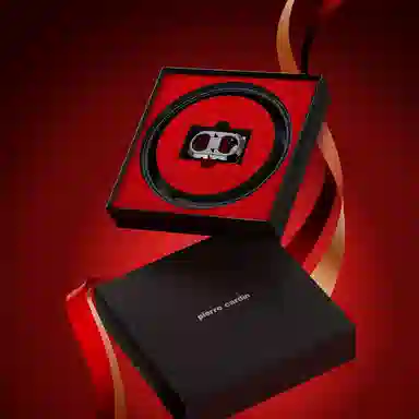PIERRE CARDIN 3.45cm