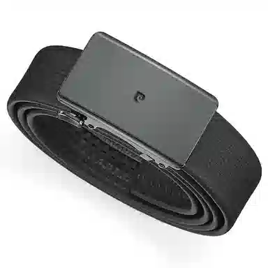 PIERRE CARDIN logo 3.45cm