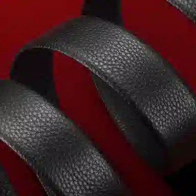 PIERRE CARDIN logo 3.6CM