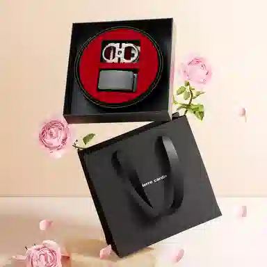 PIERRE CARDIN 3.45cm