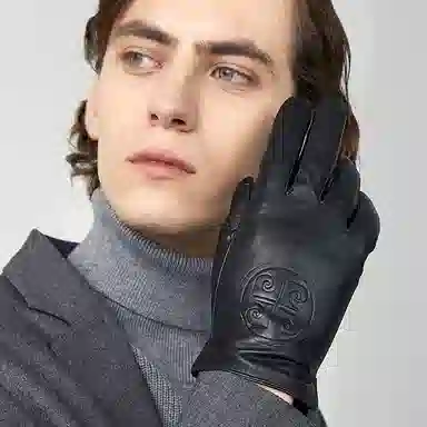 PIERRE CARDIN