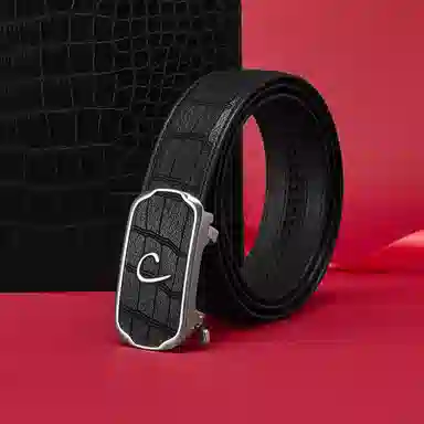 PIERRE CARDIN logo 3.8cm