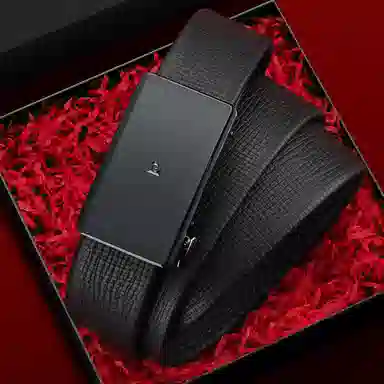 PIERRE CARDIN logo 3.45cm