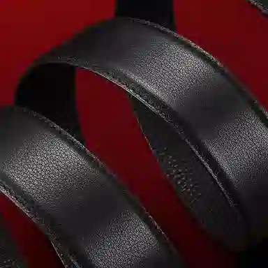 PIERRE CARDIN logo 3.6CM