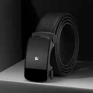 PIERRE CARDIN logo 3.6CM