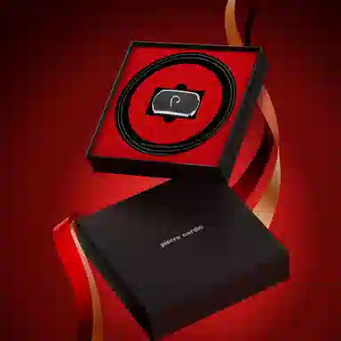 PIERRE CARDIN logo 3.7cm