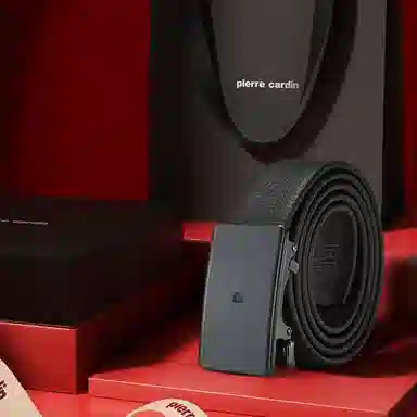 PIERRE CARDIN logo 3.45cm