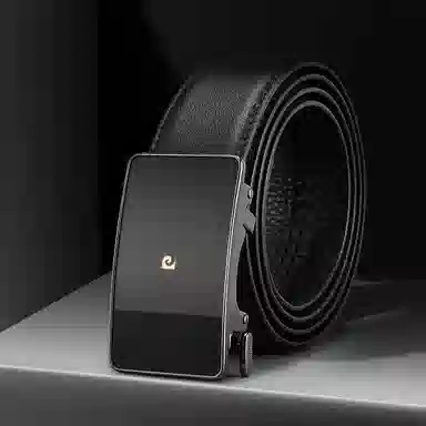 PIERRE CARDIN logo 3.6CM