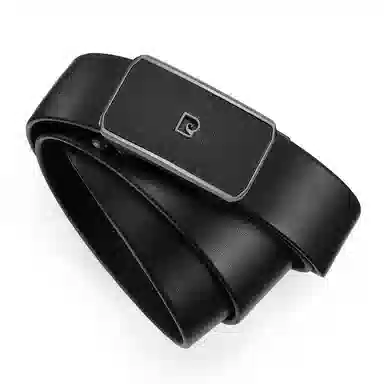 PIERRE CARDIN logo 3.4cm