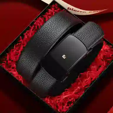 PIERRE CARDIN logo 3.6CM