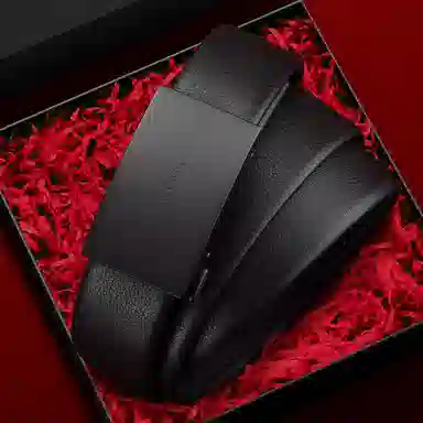 PIERRE CARDIN 3.45cm