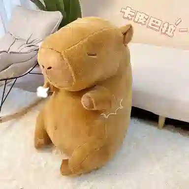 25cm35cm45cm60cm80cm100cm