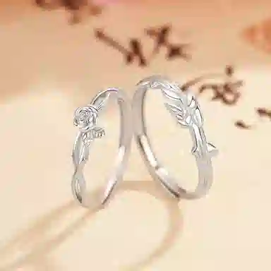 huaying ins 925