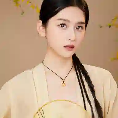 huaying 12 S925