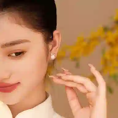 huaying 360 S925