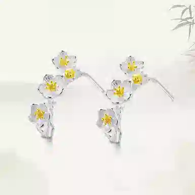 huaying S925