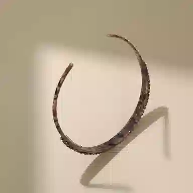CHIMERA