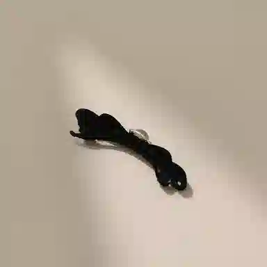 CHIMERA