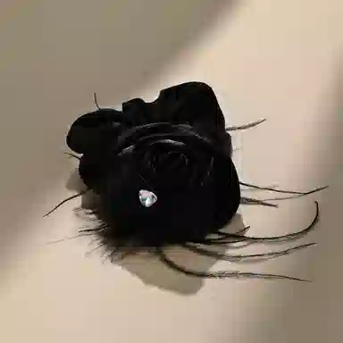 CHIMERA