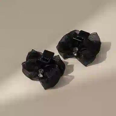 CHIMERA 2