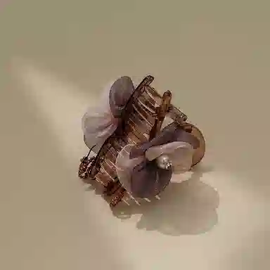 CHIMERA