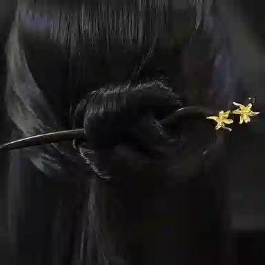 CHIMERA