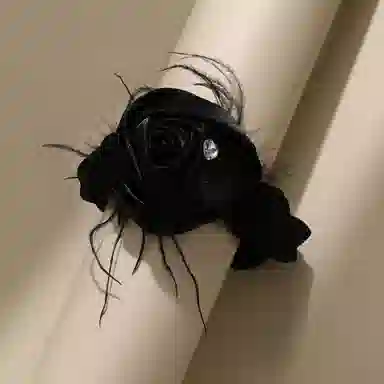 CHIMERA