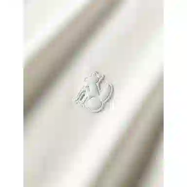 WILLIAM FOXSONS 2025T