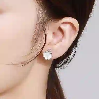 ins 925