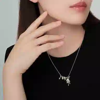 BN OL S925