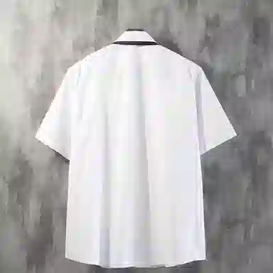 WELTER EXPERIMENT DK